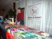 Regiodag-Friesland-9.jpg